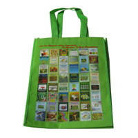 阳江LB11覆膜无纺布广告袋