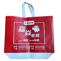 阳江LB37培训班广告袋